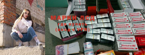 мяу мяу мука Покачи